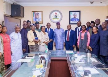 FG Launches BisonFly Project to Cut Air Travel Costs and Boost Transparency