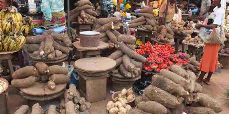 FCT’s Agro-Industrial Hub Boosts Agribusiness, Tackles Food Inflation