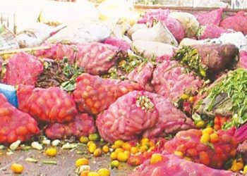 Nigeria Needs 5,000 Cold Trucks, 100 Cold Rooms to Curb N3.5trn Post-Harvest Losses