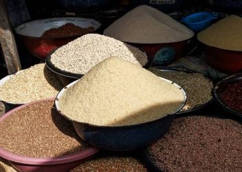 Nigeria to Launch National Agribusiness Policy to Tackle Food Inflation and Boost Economic Growth