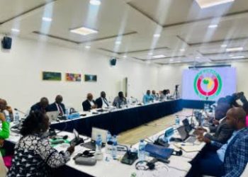 Senegal Urges ECOWAS to Bolster Investment Promotion and Regional Integration