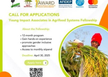 Call For Application: Young Impact Associates (YIA) in Agrifood Systems Fellowship 2025 for African changemakers