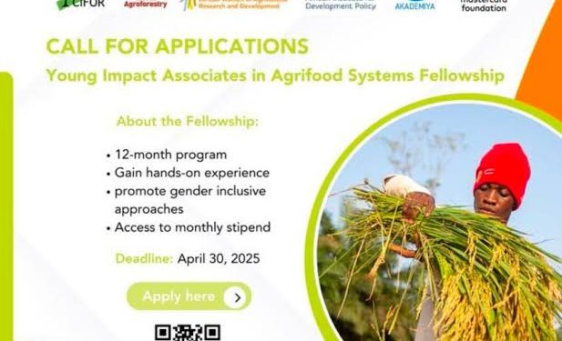 Call For Application: Young Impact Associates (YIA) in Agrifood Systems Fellowship 2025 for African changemakers