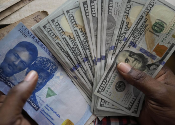 Naira-Dollar Exchange Rate Appreciation - World Bank Confirms Currency's Stability