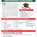 Call For Applications: NNPC/SEPLAT National Undergraduate Scholarship Program 2025