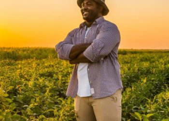 Call For Applications: SMEDAN Agri-business Development and Empowerment Program