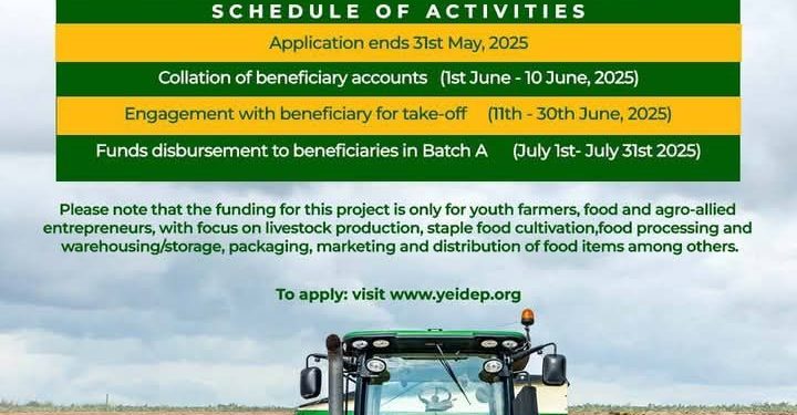 Nigeria Govt to Begin Disbursement of YEIDEP Grants by July 2025, Targets Over 4.6 Million Youth Entrepreneurs