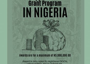 Call For Applications: NGO Support Initiative Grant Program in Nigeria (up to N5 Million Grant)