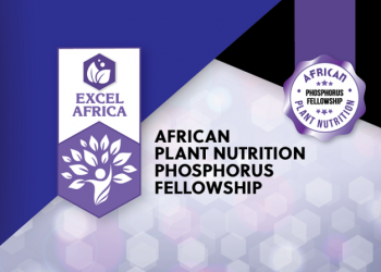 Call For Applications: African Plant Nutrition Phosphorus Fellowship 2025 (Up to $25,000 Grant Prizes)