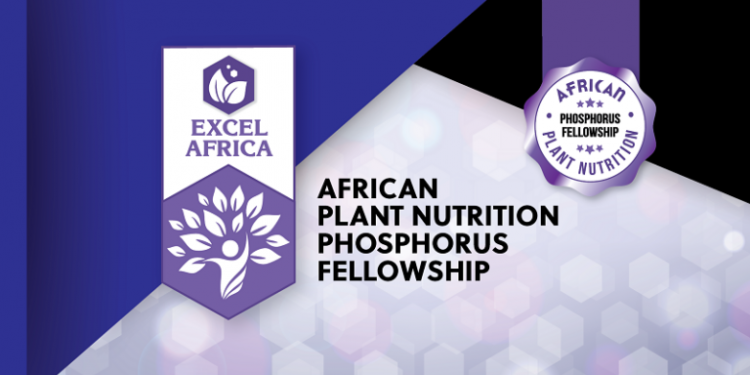 Call For Applications: African Plant Nutrition Phosphorus Fellowship 2025 (Up to $25,000 Grant Prizes)