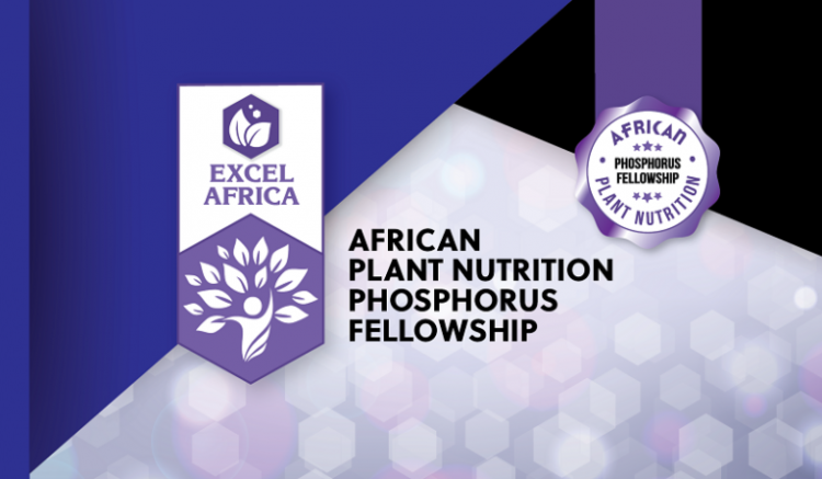 Call For Applications: African Plant Nutrition Phosphorus Fellowship 2025 (Up to $25,000 Grant Prizes)