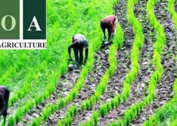 FG to Inject ₦1.5 Trillion into Bank of Agriculture to Boost Agribusiness and Food Security