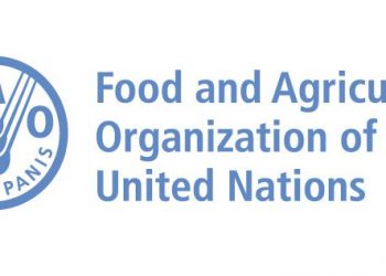 Call Forb Applications: UN FAO Global AgriInno Challenge 2025 for Youth Innovators and Agri-tech Entrepreneurs (30k dollars Seed Funding)