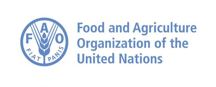 Call Forb Applications: UN FAO Global AgriInno Challenge 2025 for Youth Innovators and Agri-tech Entrepreneurs (30k dollars Seed Funding)