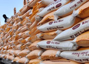 Johnvents Group Enters Rice Market to Boost Food Security in West Africa
