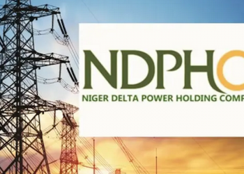 NDPHC Decries N600bn Electricity Debt, Stranded 2,000MW