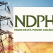 NDPHC Decries N600bn Electricity Debt, Stranded 2,000MW