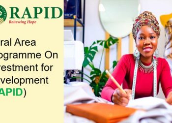 Call for Applications: Bank of Industry RAPID Initiative ( Loan at 5% per annum, Business Advisory & Training for Small Businesses)