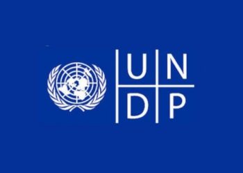 UNDP Digital Transformation Internship 2025 ( $500 Monthly Stipend,Training, Networking)