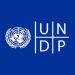 UNDP Digital Transformation Internship 2025 ( $500 Monthly Stipend,Training, Networking)