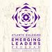 Call For Opportunities: Atlantic Dialogues Emerging Leaders Program 2025 for young professionals (Fully Funded to Rabat, Morocco.)