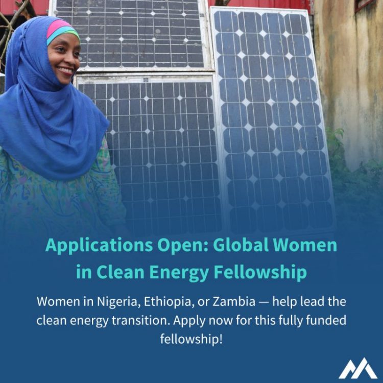 Call for Applications: Global Women in Clean Energy Fellowship