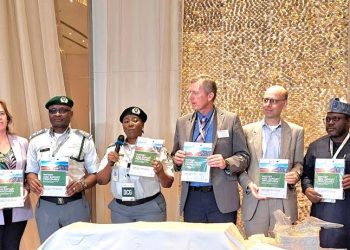 Customs Launches Import Handbook to Ease Renewable Energy Trade in Nigeria