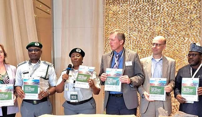 Customs Launches Import Handbook to Ease Renewable Energy Trade in Nigeria