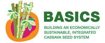 NGO Wants More Awareness on Improved Cassava Seeds