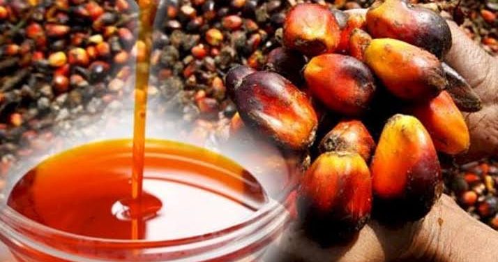 Palm Oil Price Sets to Increase as Indonesia Hikes Palm Oil Export Tax