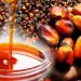 Palm Oil Price Sets to Increase as Indonesia Hikes Palm Oil Export Tax