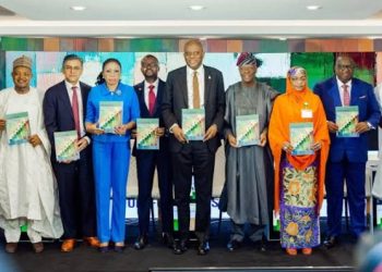 World Bank Flags Revenue Shortfalls from Petrol Subsidy Removal, Warns of Budget Risks