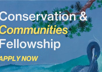 Call For Applications: Global Development Fund (GDF) Conservation and Communities Fellowship 2025 ( Fully-funded, 7-Month Programme)