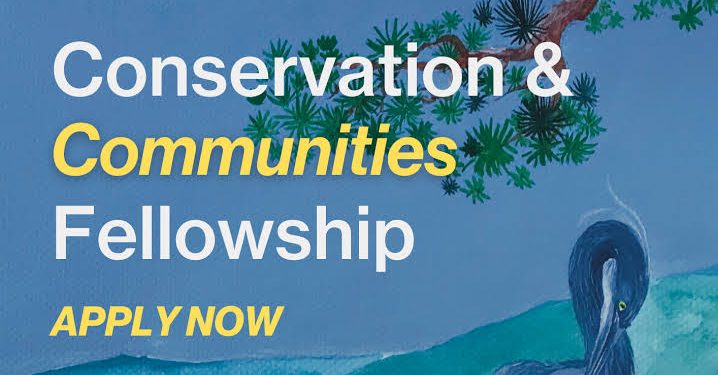 Call For Applications: Global Development Fund (GDF) Conservation and Communities Fellowship 2025 ( Fully-funded, 7-Month Programme)