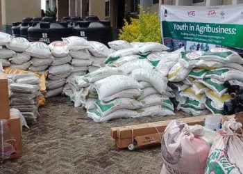IITA Empowers Oyo Youth with Farm Inputs to Boost Agribusiness Expansion