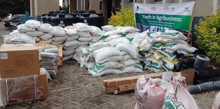 IITA Empowers Oyo Youth with Farm Inputs to Boost Agribusiness Expansion