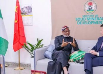 China to Set Up Electric Vehicle Factories in Nigeria, Pledges Support for Industrialization