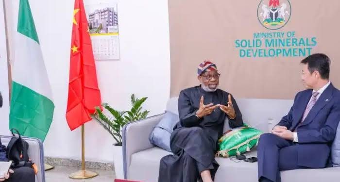 China to Set Up Electric Vehicle Factories in Nigeria, Pledges Support for Industrialization