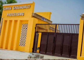 Katsina Revives Groundnut Oil Mill to Boost Jobs, Empower Women Entrepreneurs