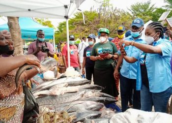 Lagos Launches N10bn Aquaculture Hub to Boost Fish Production