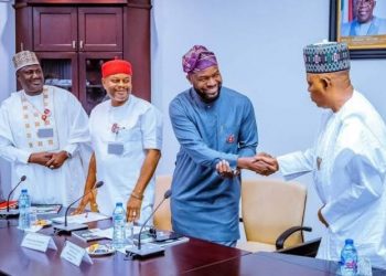 Nigeria to Build Digital Bridges, Targets Taking MSMEs Across African Market Borders