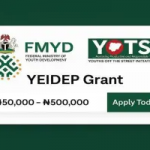 Youth Businesses Set for Boost as FG to Begin YEIDEP Grant Disbursement by July