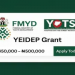 Youth Businesses Set for Boost as FG to Begin YEIDEP Grant Disbursement by July