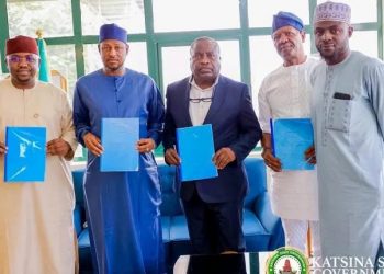 Katsina, NDDIS Woo Diaspora Funds for MSMEs, Health, Education