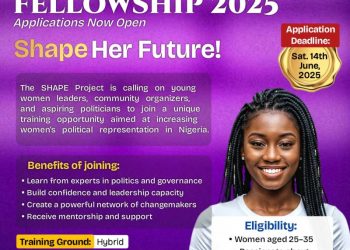 Call For Applications: SHAPE PROJECT FELLOWSHIP 2025