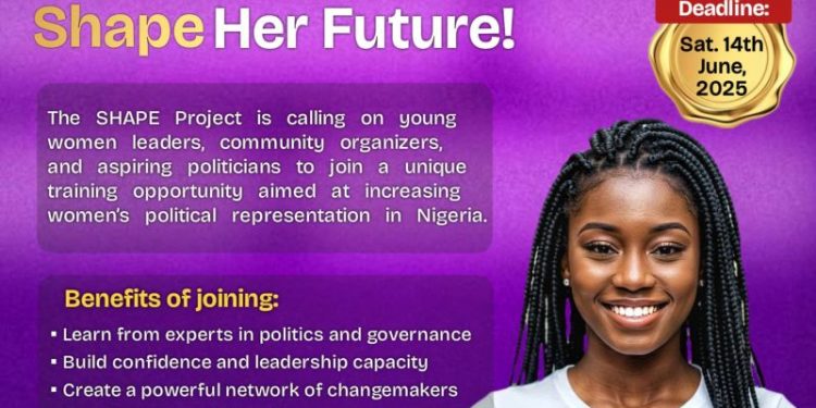 Call For Applications: SHAPE PROJECT FELLOWSHIP 2025