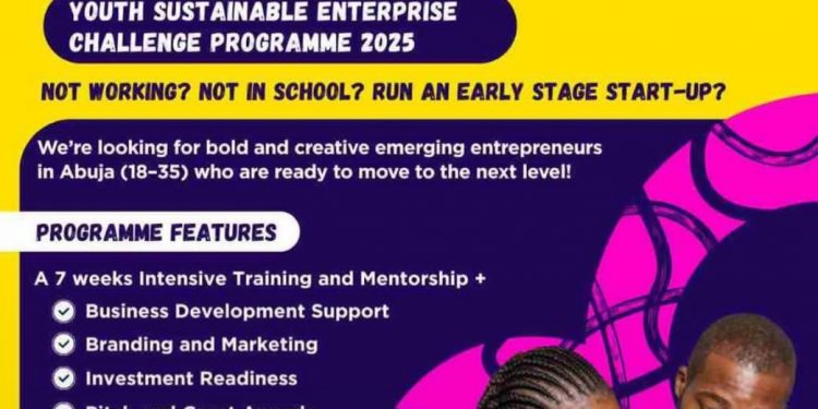 Call For Applications: Youth Sustainable Enterprise Challenge Program 2025 ( Grant + Training +Mentorship)
