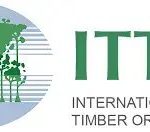 Call For Applications: International Tropical Timber Organisation (ITTO) Fellowship Programme 2025 (up to $10,000)