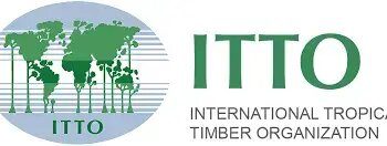 Call For Applications: International Tropical Timber Organisation (ITTO) Fellowship Programme 2025 (up to $10,000)