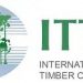 Call For Applications: International Tropical Timber Organisation (ITTO) Fellowship Programme 2025 (up to $10,000)